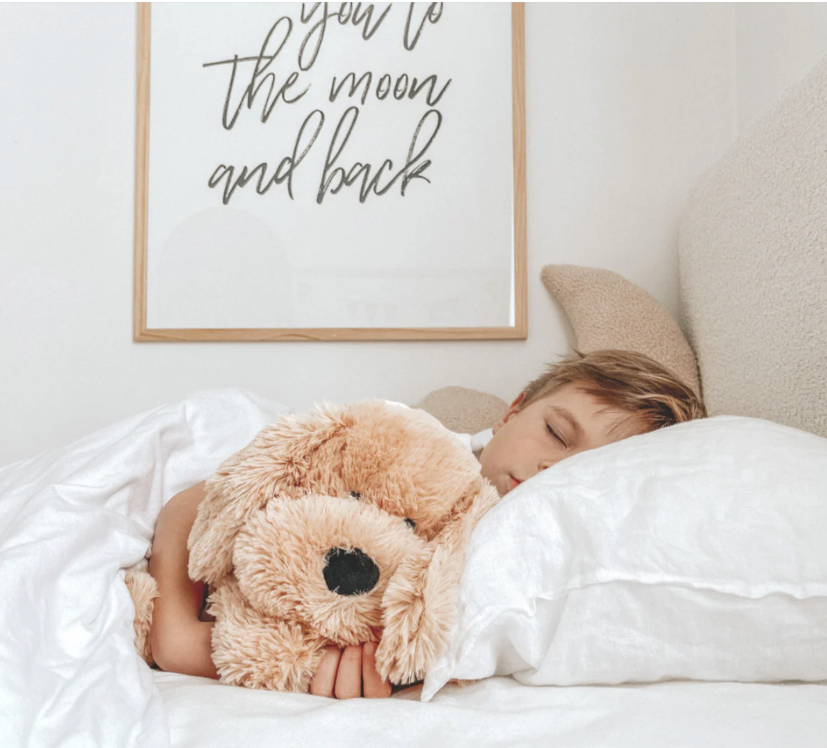 PRE ORDER 〰️ Charlie The Weighted Puppy Dog