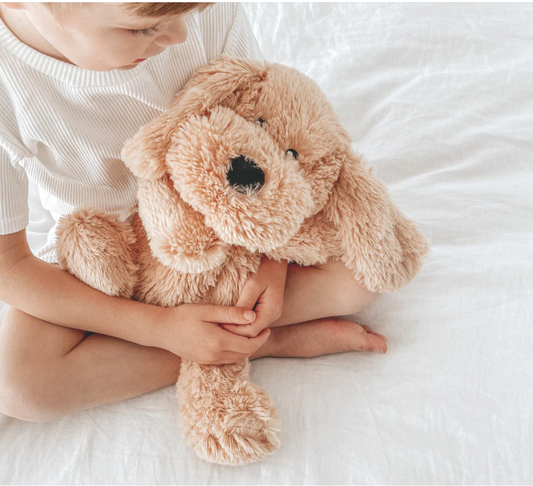 PRE ORDER 〰️ Charlie The Weighted Puppy Dog