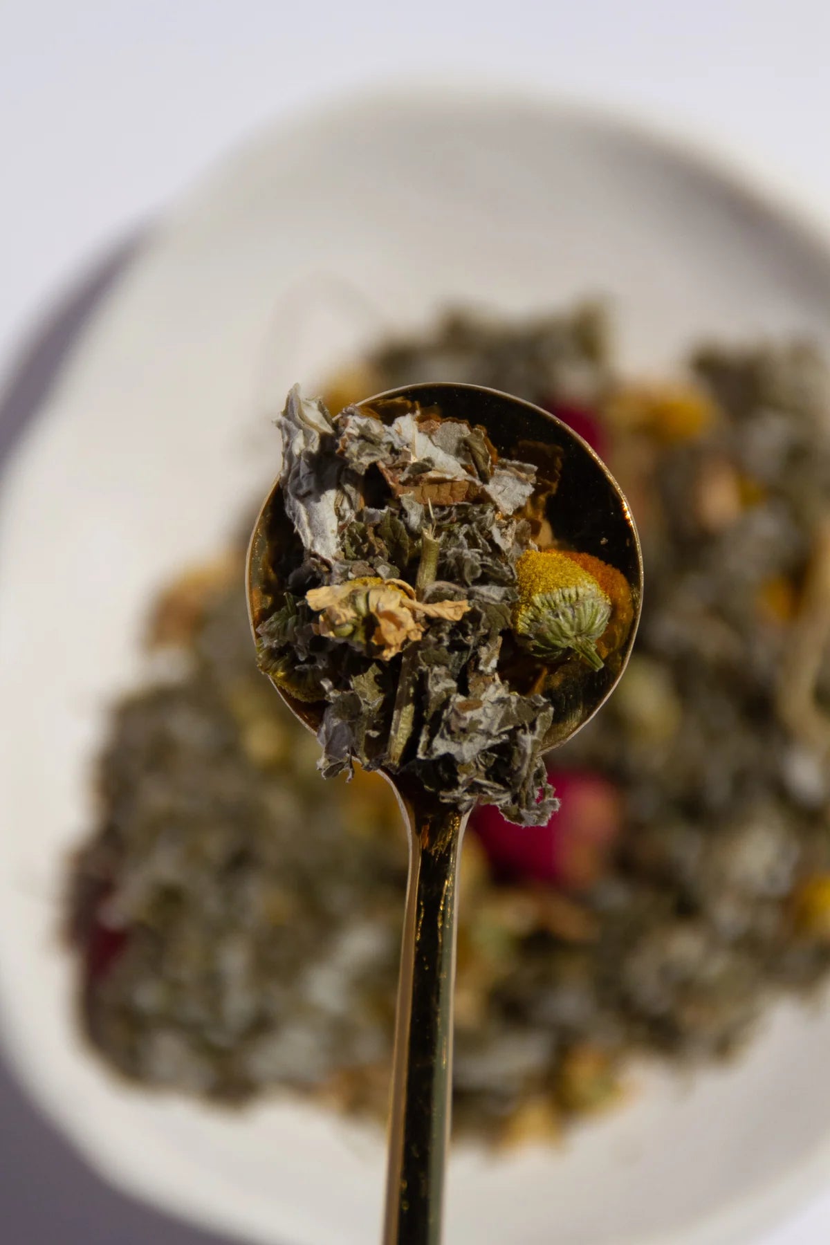 Red Raspberry Leaf Tea