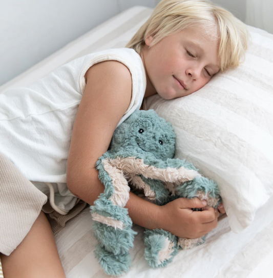 PRE ORDER 〰️ Ollie The Weighted Octopus